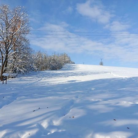 Doudleby U Ceskych Budejovic Esterno foto